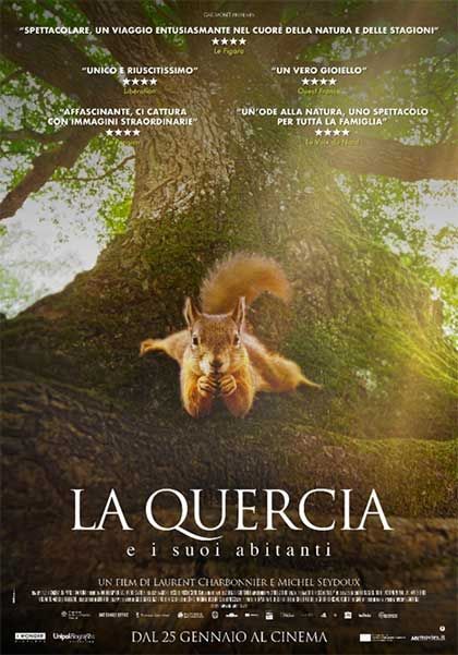 MOVIE - Cinema in Sala Tamerice